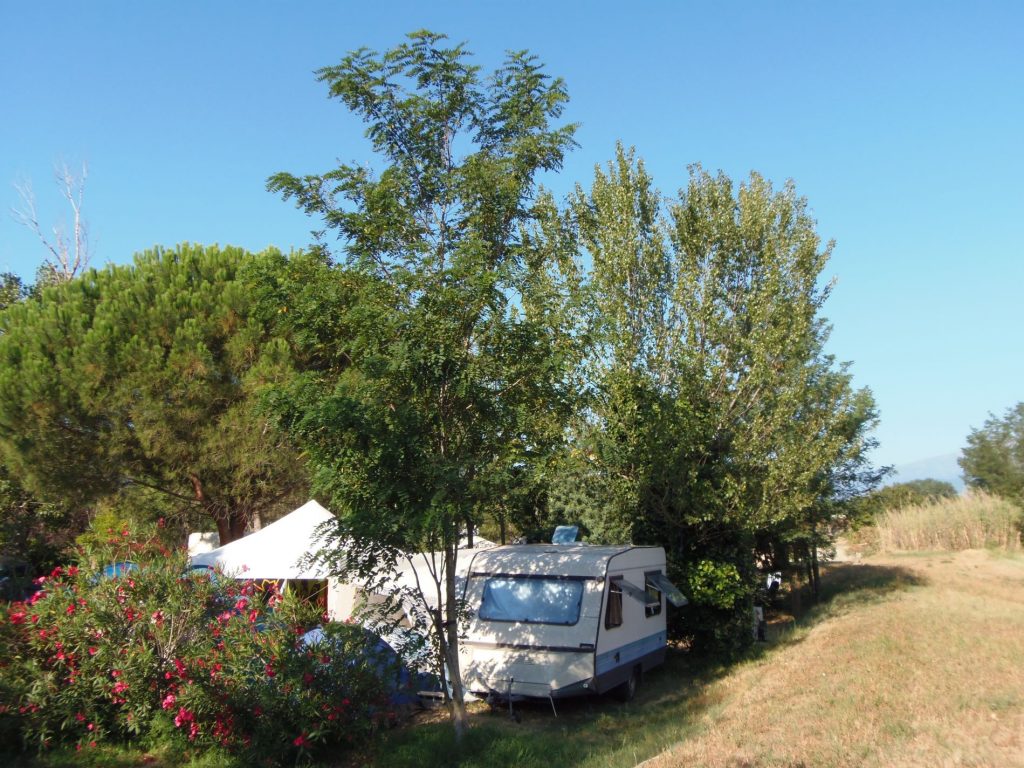 Campsite De La Vallée (66): P1010028