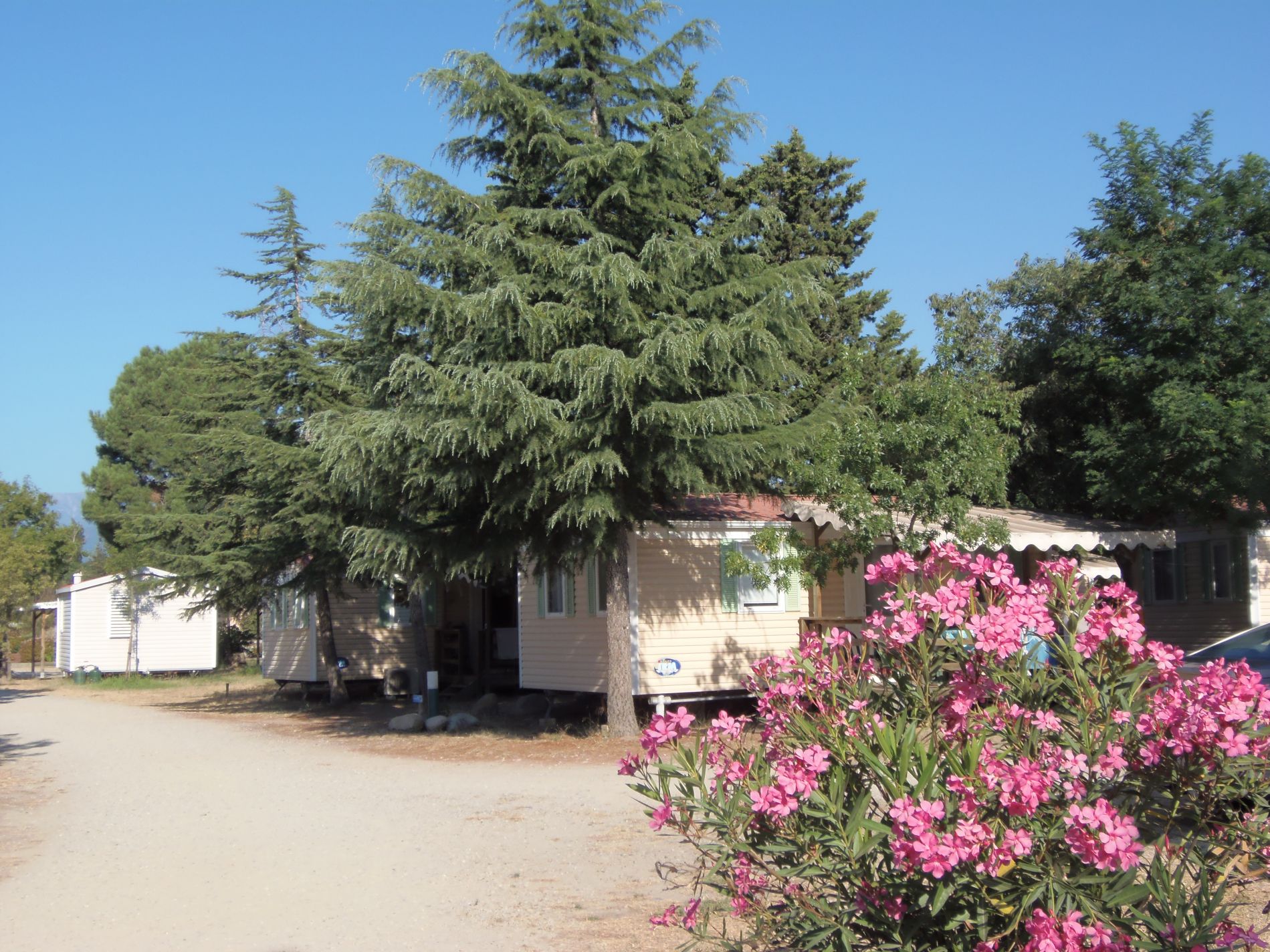 Campsite De La Vallée (66): P1010062