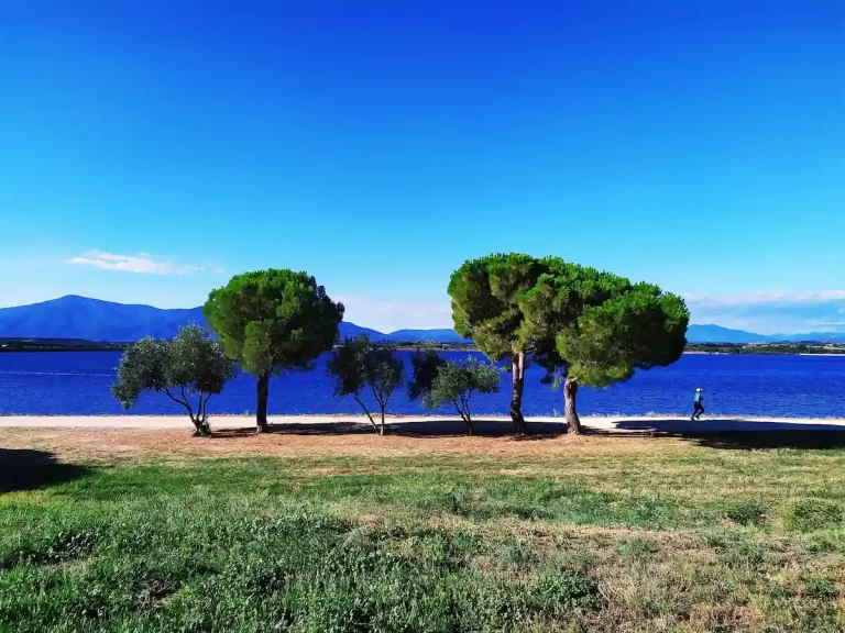 Camping De La Vallée (66) : Lac De Villeneuve De La Raho